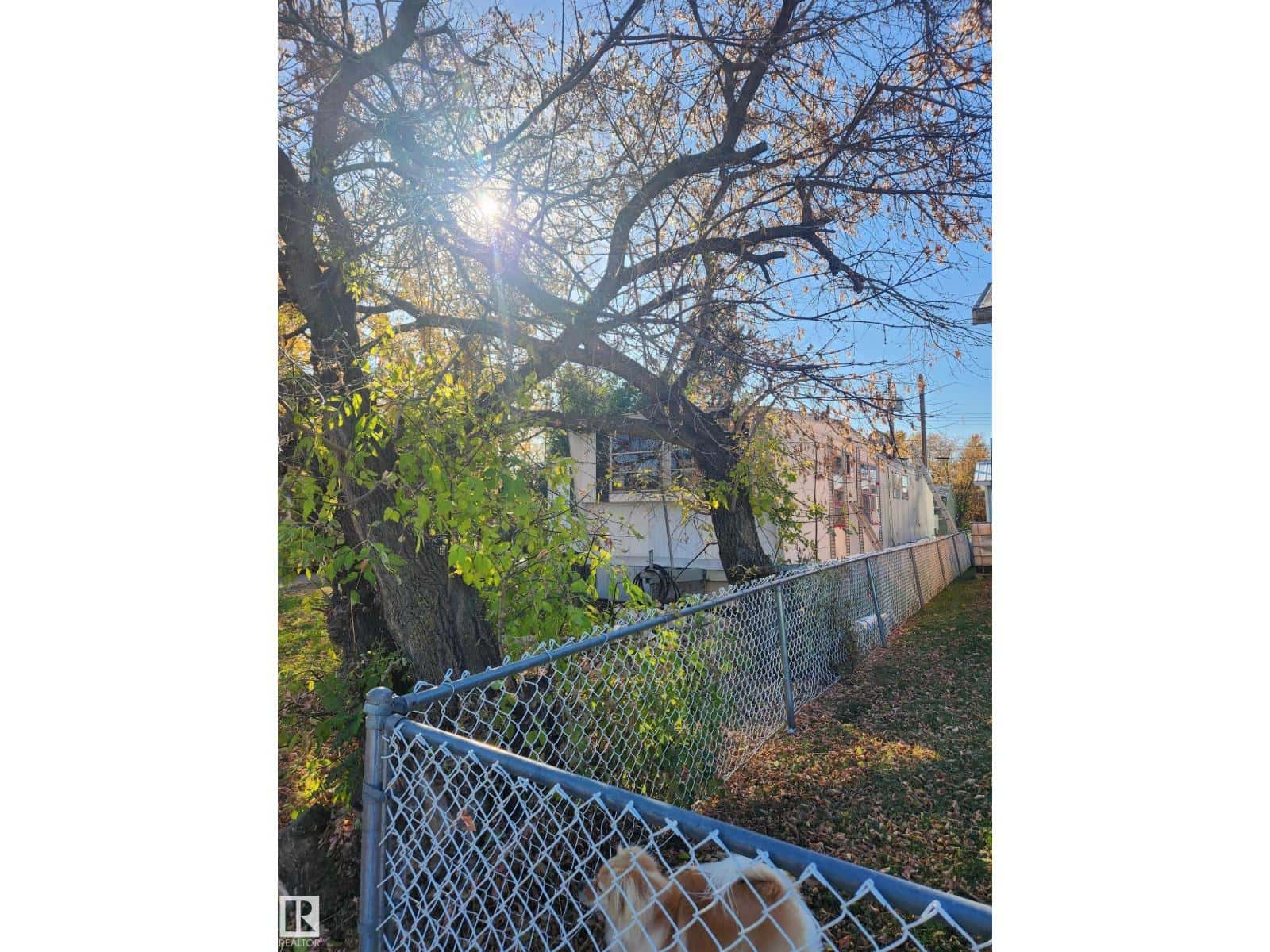 4834 47 ST — Thorsby, Alberta - Photo 3 of 5