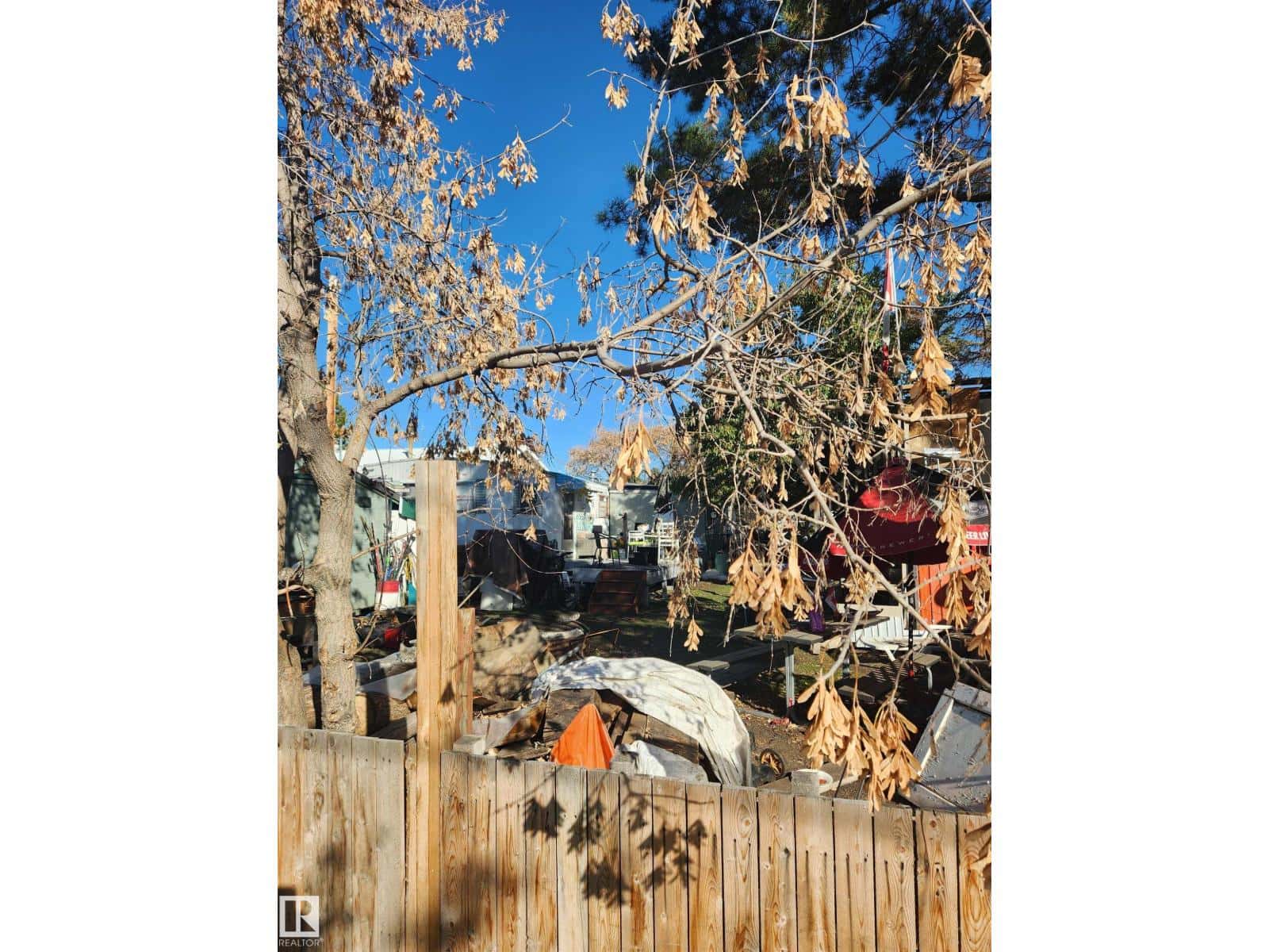 4834 47 ST — Thorsby, Alberta - Photo 4 of 5