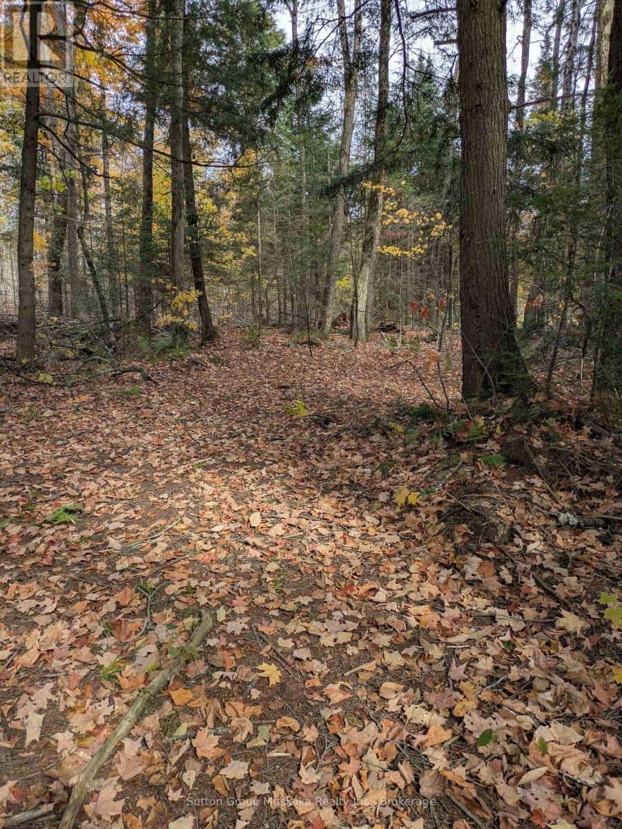 0 118 HIGHWAY E — Bracebridge (Draper), Ontario - Photo 2 of 13