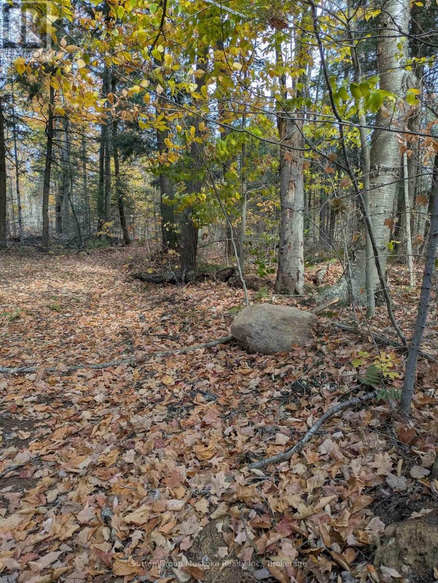 0 118 HIGHWAY E — Bracebridge (Draper), Ontario - Main photo