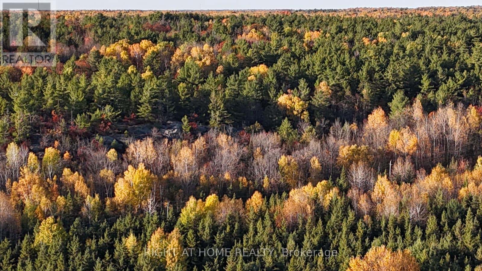 PT 3&4 LEVERT DRIVE — West Nipissing (Sturgeon Falls), Ontario - Photo 3 of 14