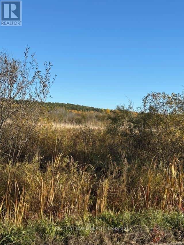 PT 3&4 LEVERT DRIVE — West Nipissing (Sturgeon Falls), Ontario - Photo 4 of 14