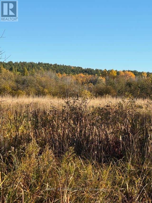 PT 3&4 LEVERT DRIVE — West Nipissing (Sturgeon Falls), Ontario - Photo 5 of 14