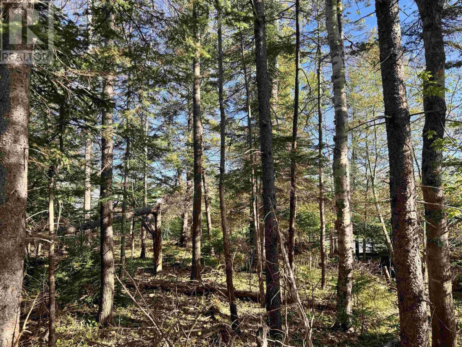 24-2 Forest Drive Extension — Pictou, Nova Scotia - Photo 4 of 6