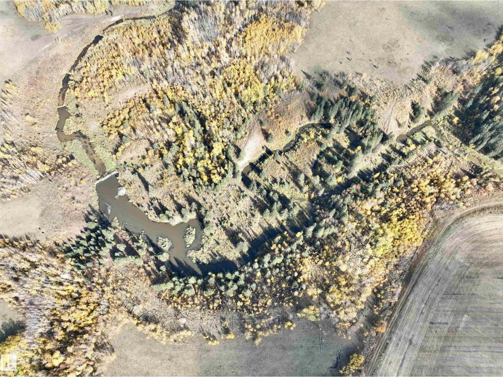 62326 RR 104A — Rural St. Paul County, Alberta - Photo 3 of 18