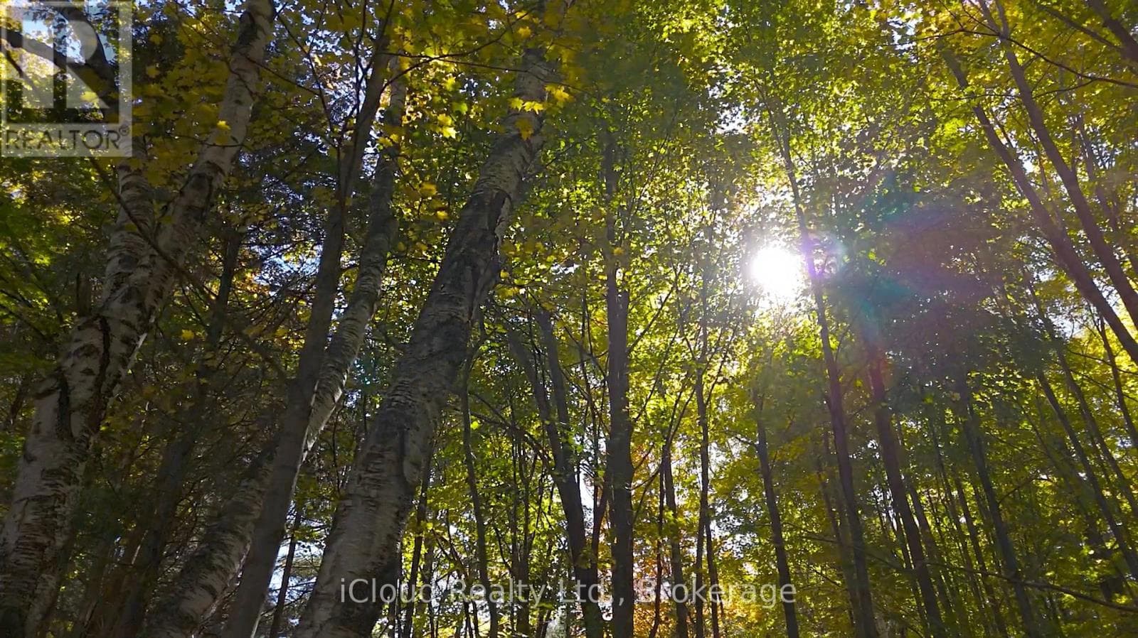 179 MAIN STREET S — Milton (Campbellville), Ontario - Main photo