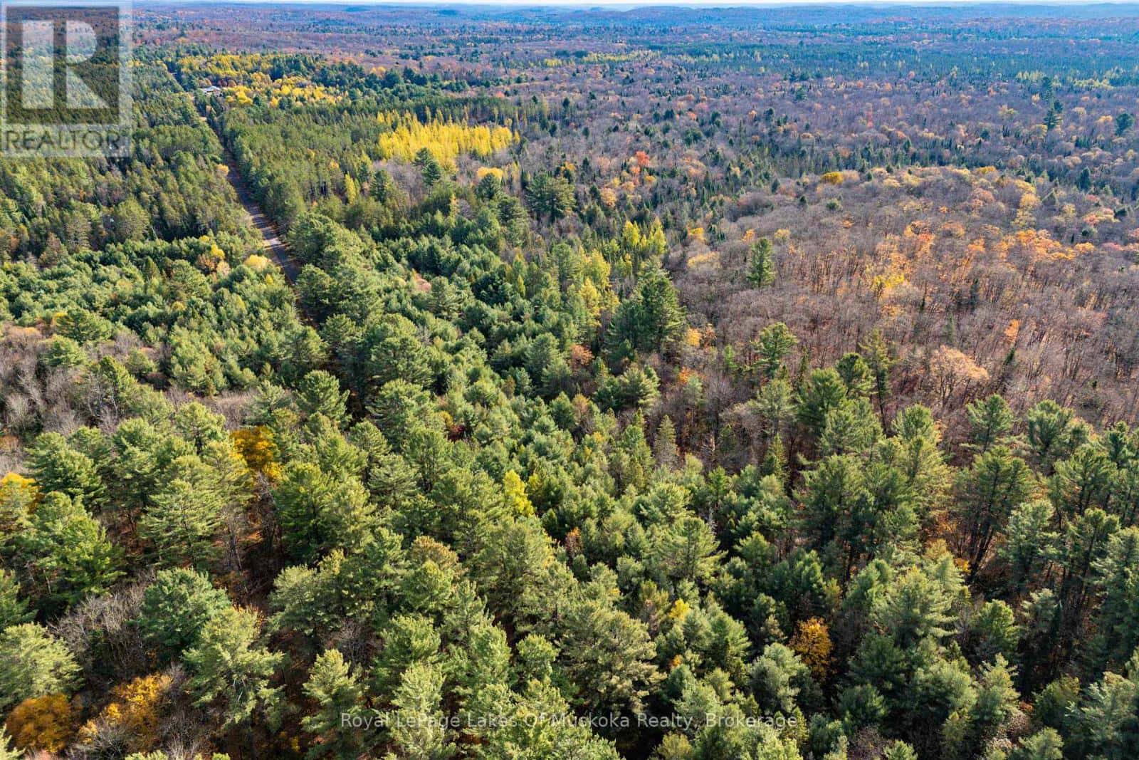 267 & 321 CARDWELL LAKE ROAD — Huntsville (Stisted), Ontario - Photo 2 of 35