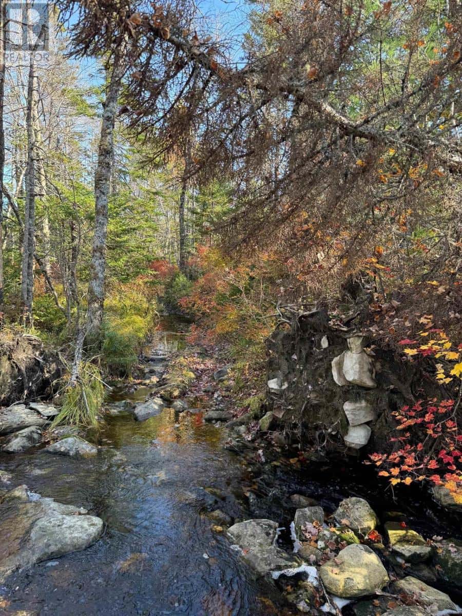 Grant 5942 Jacksons Mountain — East Quinan, Nova Scotia - Photo 5 of 7