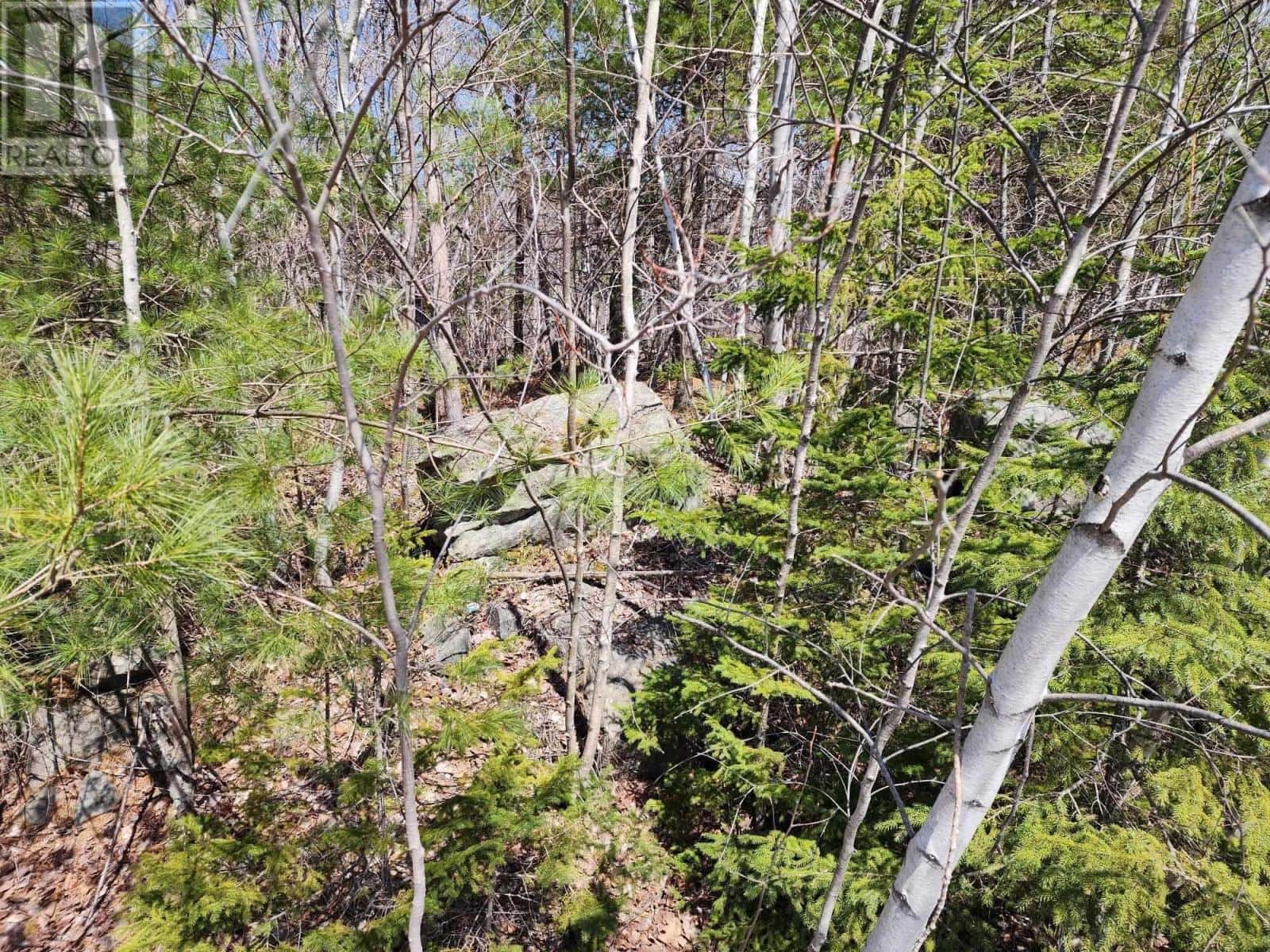 Medway Harbour Road — Mill Village, Nova Scotia - Photo 3 of 11