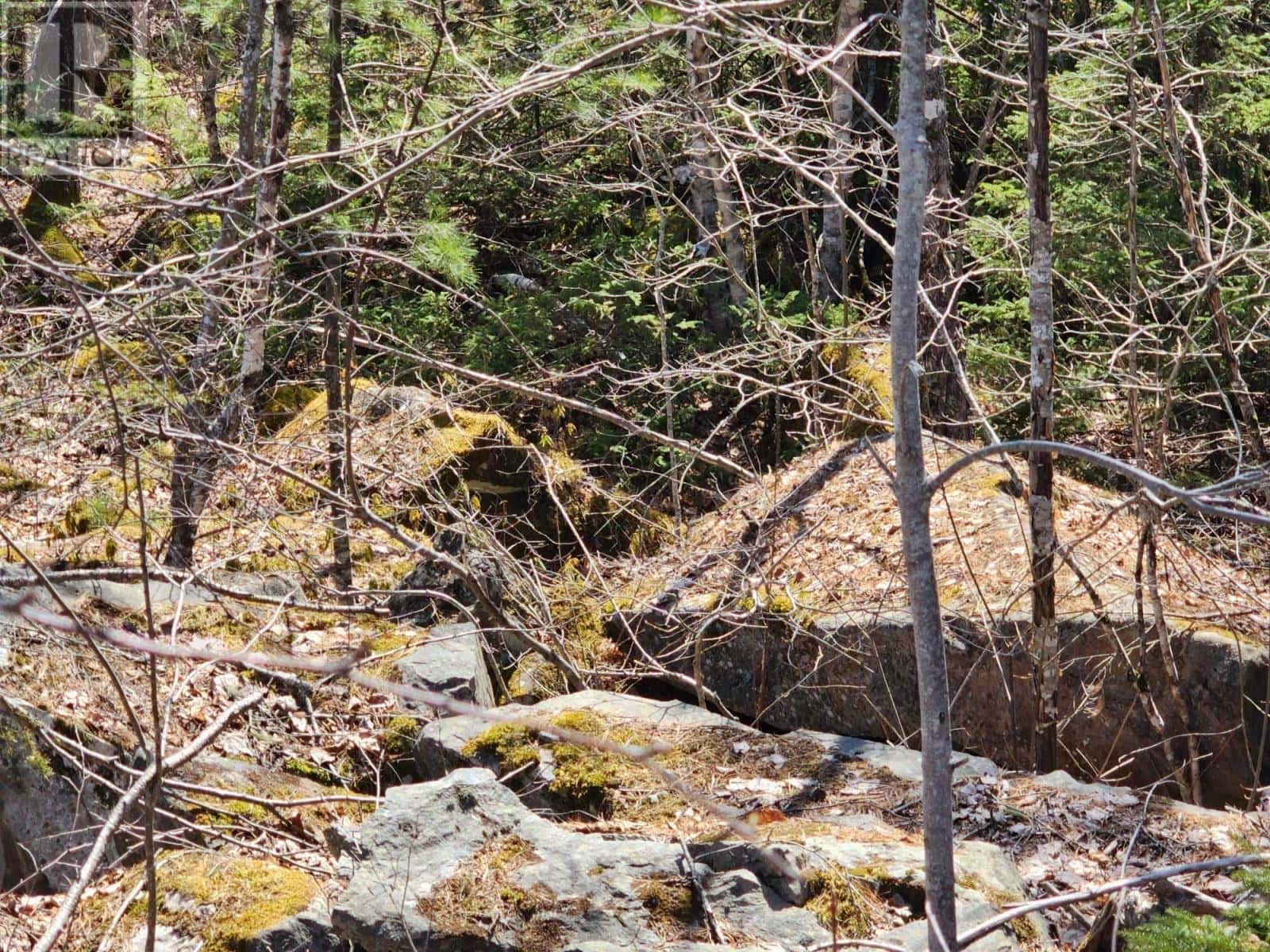 Medway Harbour Road — Mill Village, Nova Scotia - Photo 5 of 11