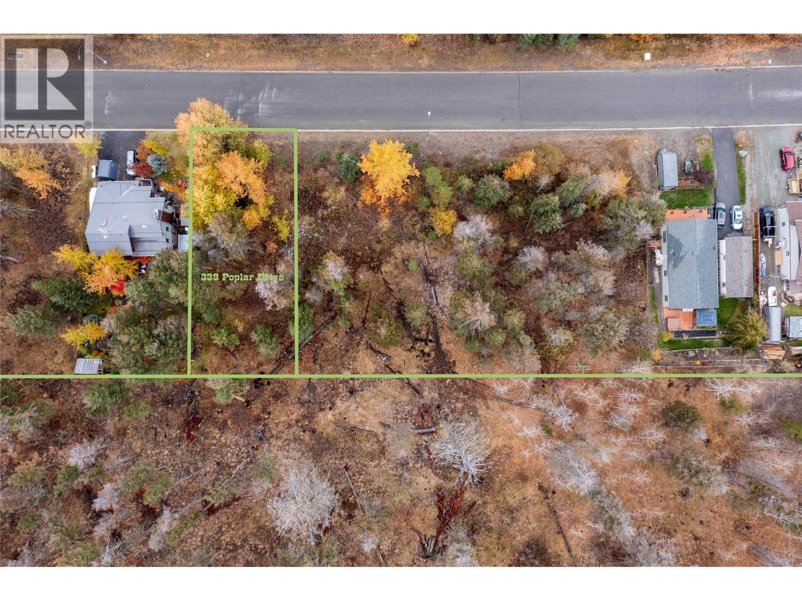 339 POPLAR Drive — Logan Lake, British Columbia - Main photo