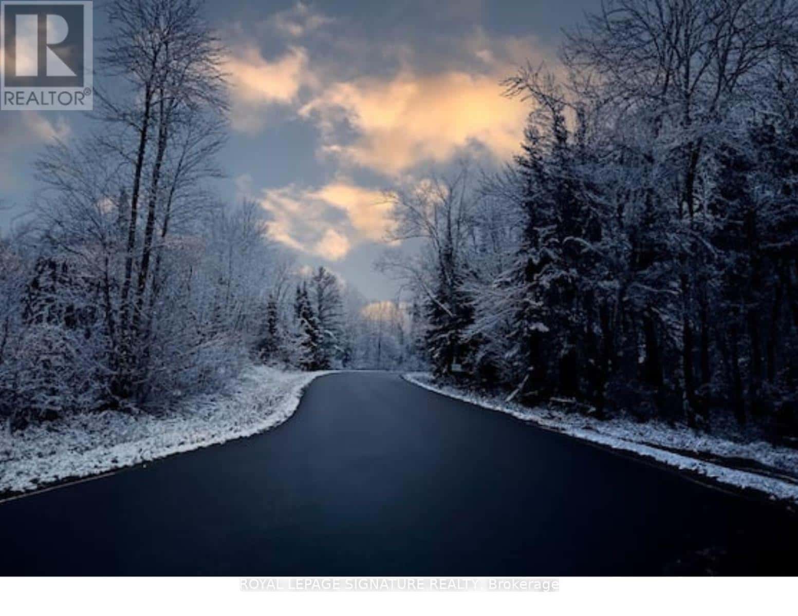 3309 RIVERDALE DRIVE — Severn (Washago), Ontario - Photo 4 of 50