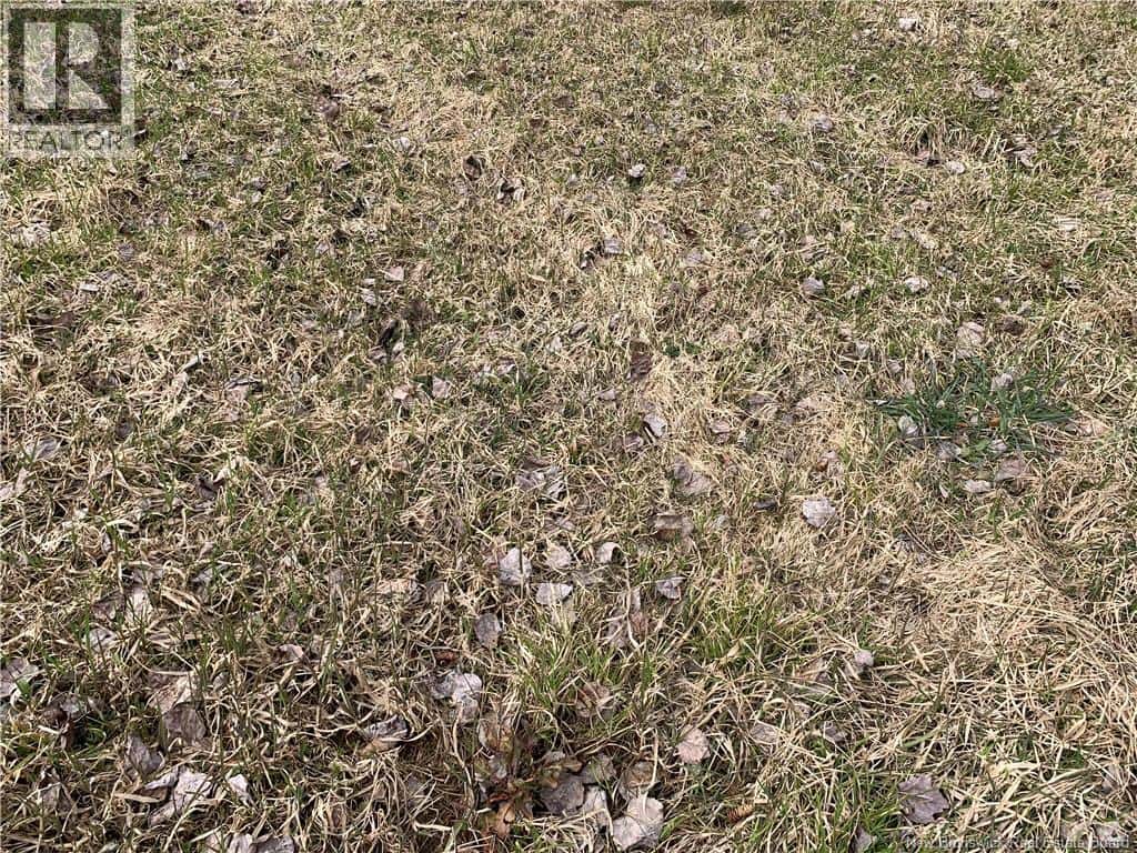 Lot Cherry Street — Harvey, New Brunswick - Photo 5 of 6