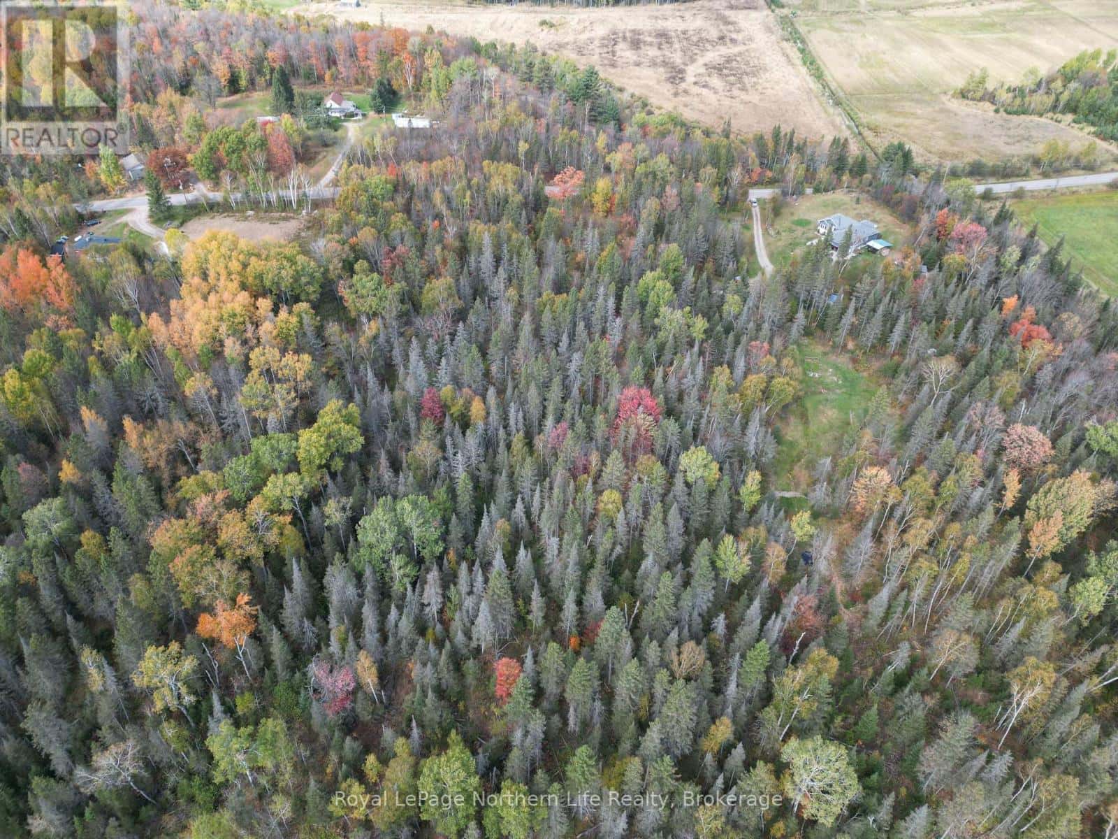 CHISWICK LINE HIMSWORTH CON 10 PT LOT 5 LINE — Powassan, Ontario - Photo 4 of 7