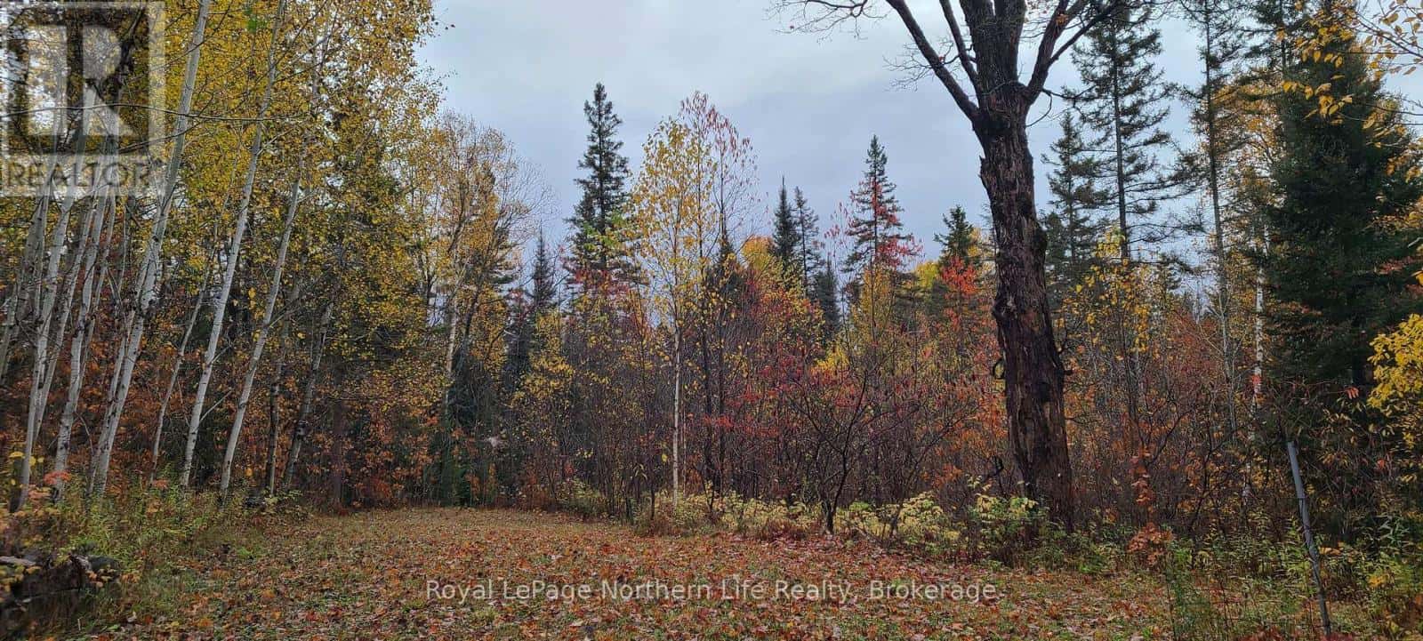 CHISWICK LINE HIMSWORTH CON 10 PT LOT 5 LINE — Powassan, Ontario - Photo 5 of 7