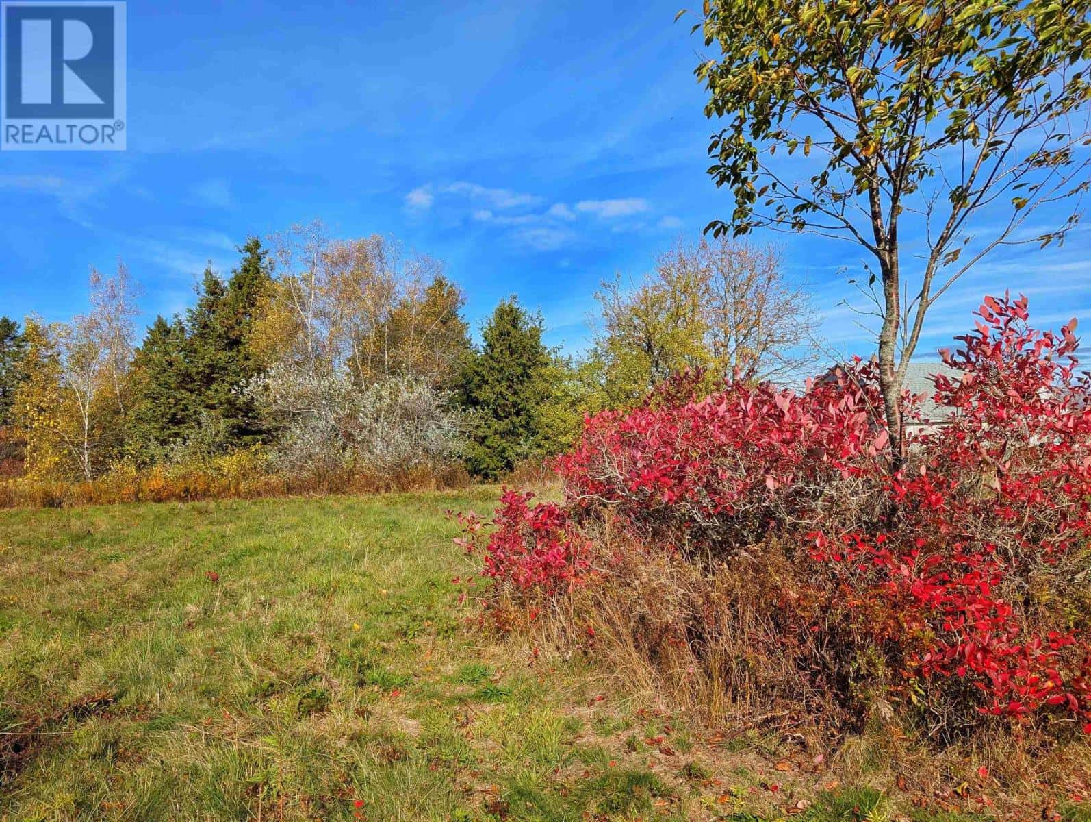 246 West Brooklyn Road — West Brooklyn, Nova Scotia - Photo 4 of 36