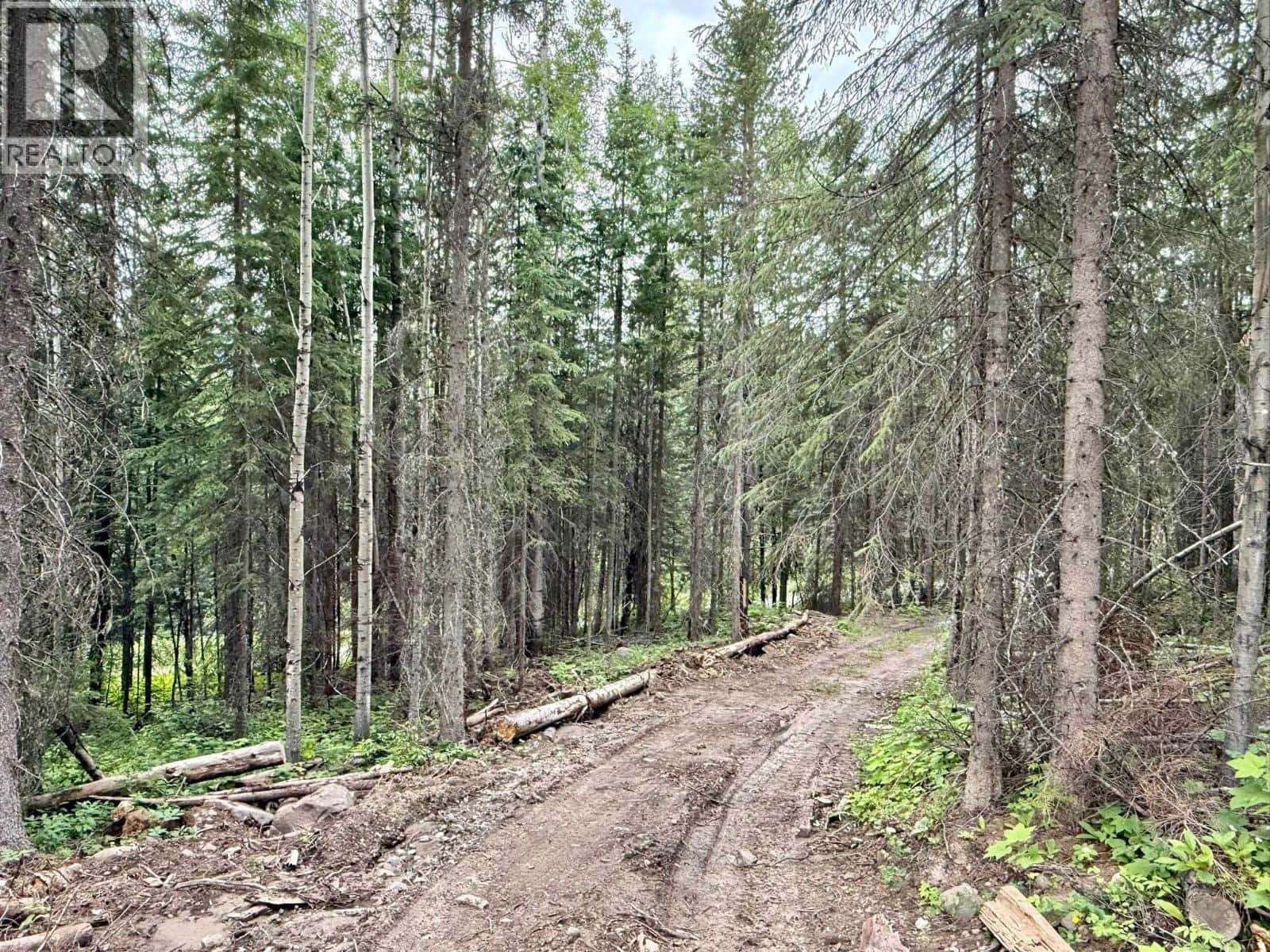 5132 CAVE ROAD — Horsefly, British Columbia - Photo 5 of 17