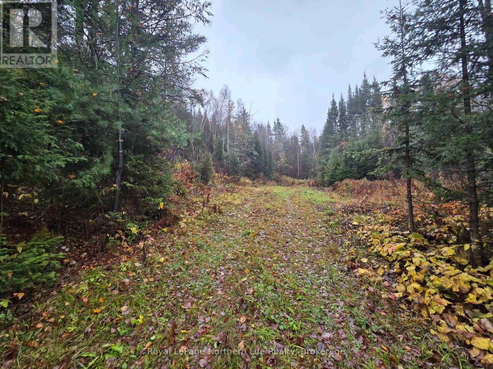 942 DEVELOPEMENT RD ROAD — Bonfield, Ontario - Photo 4 of 10