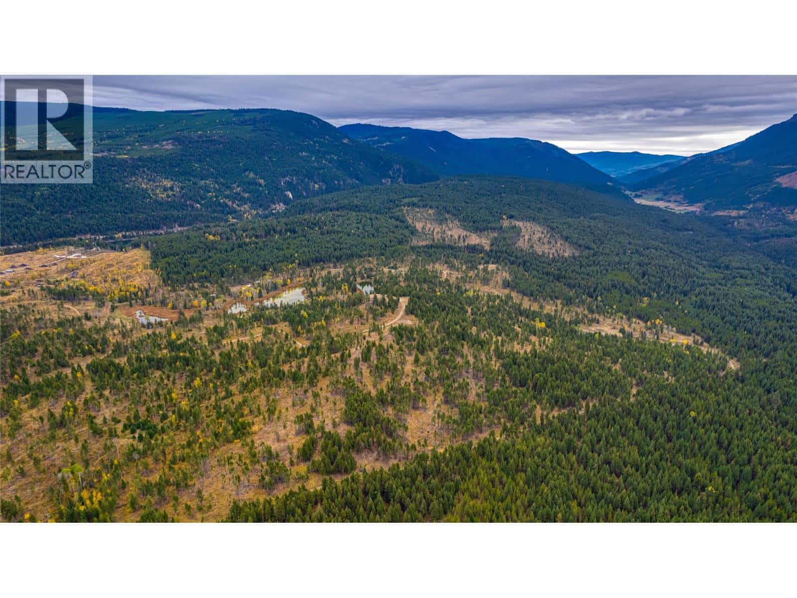 SW Moser Road — Falkland, British Columbia - Photo 5 of 17