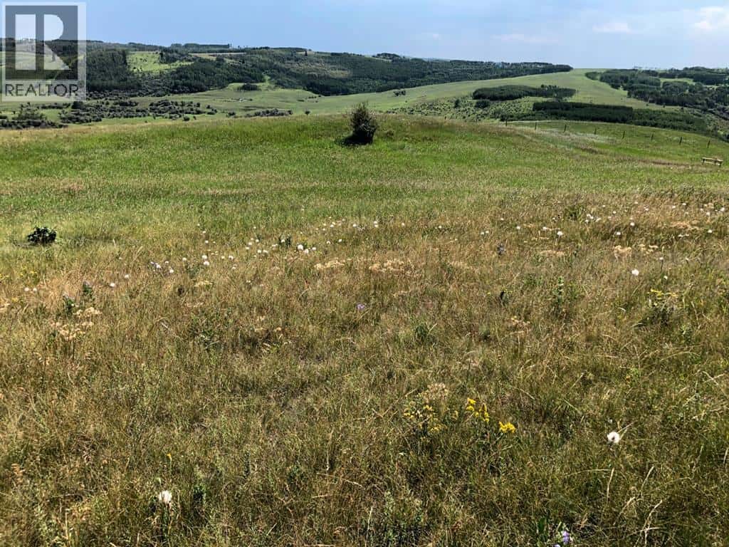 151243 Basin Road — Rural Willow Creek No. 26, M.D. of, Alberta - Photo 4 of 12