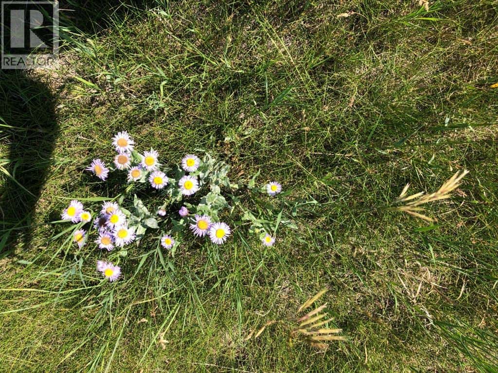 151243 Basin Road — Rural Willow Creek No. 26, M.D. of, Alberta - Photo 5 of 12