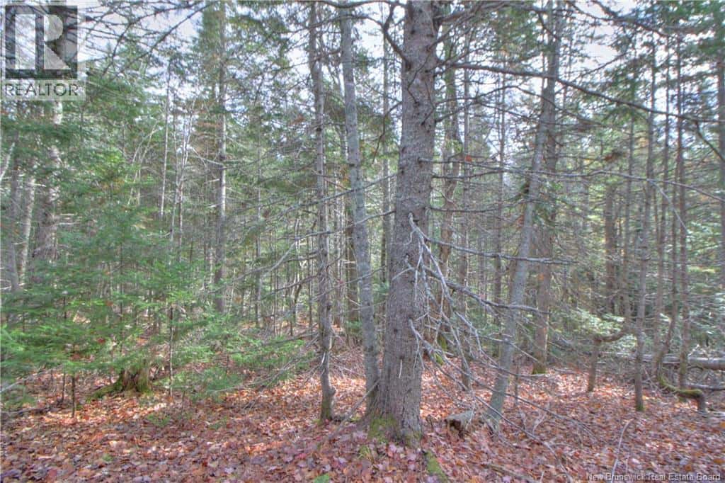 LOT 25-9 Creekview Lane — Galloway, New Brunswick - Photo 3 of 10