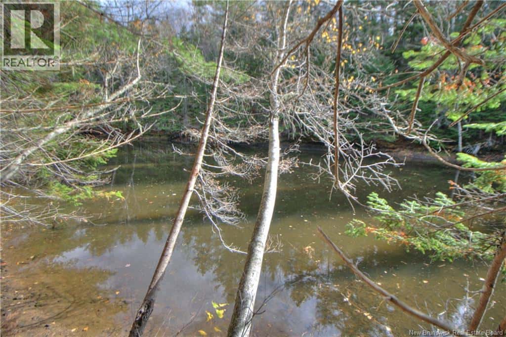 LOT 25-9 Creekview Lane — Galloway, New Brunswick - Photo 4 of 10