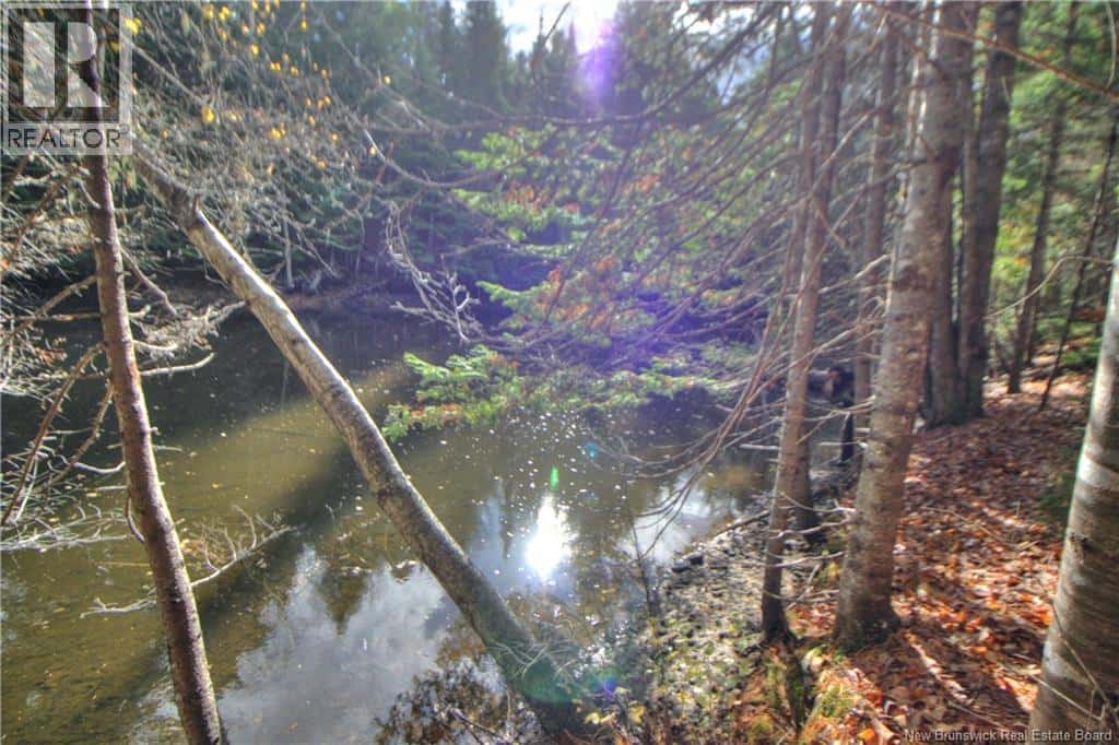 LOT 25-9 Creekview Lane — Galloway, New Brunswick - Photo 5 of 10