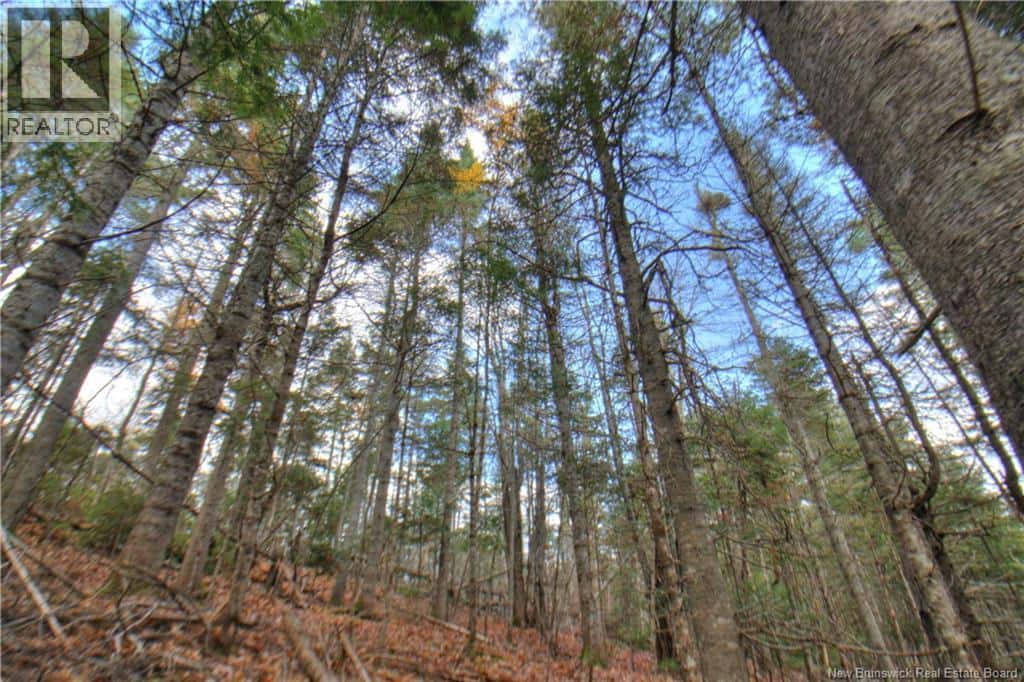 LOT 25-8 Creekview Lane — Galloway, New Brunswick - Photo 4 of 9