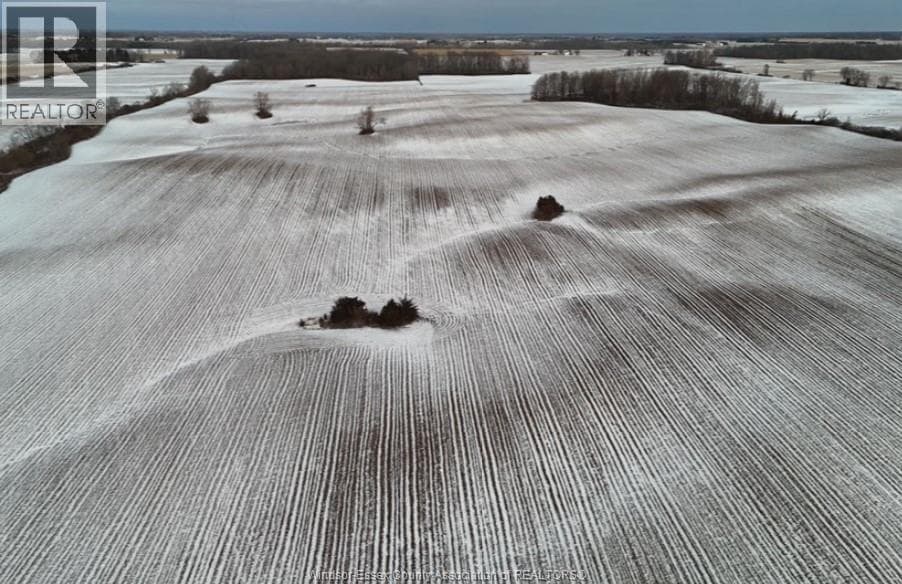 13119 TALBOT TRAIL — Ridgetown, Ontario - Main photo