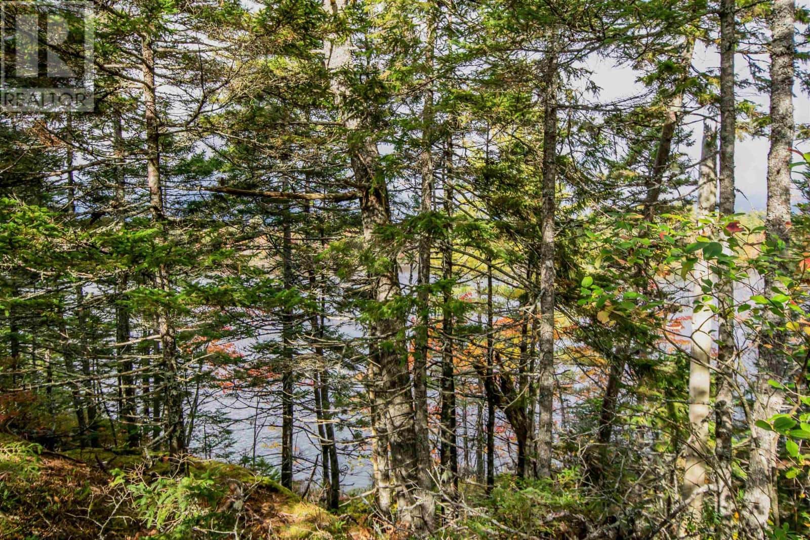 Lot 44 Meek Arm Trail — East Uniacke, Nova Scotia - Photo 5 of 23