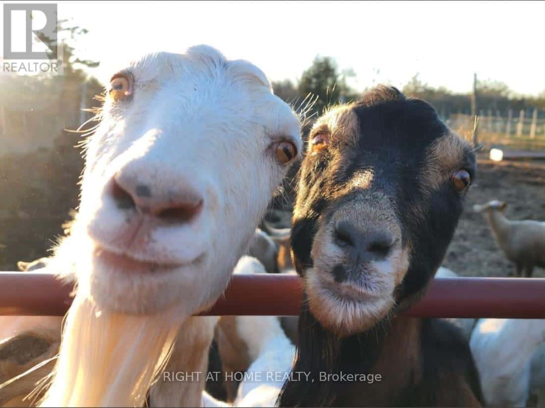 297 POWER ROAD — Tyendinaga (Tyendinaga Township), Ontario - Photo 3 of 22