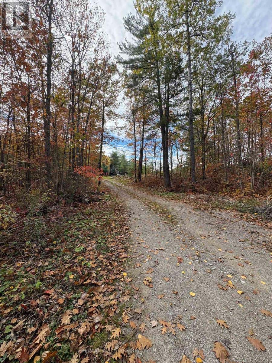 1295 DEEP BAY ROAD — Minden Hills (Lutterworth), Ontario - Photo 5 of 40