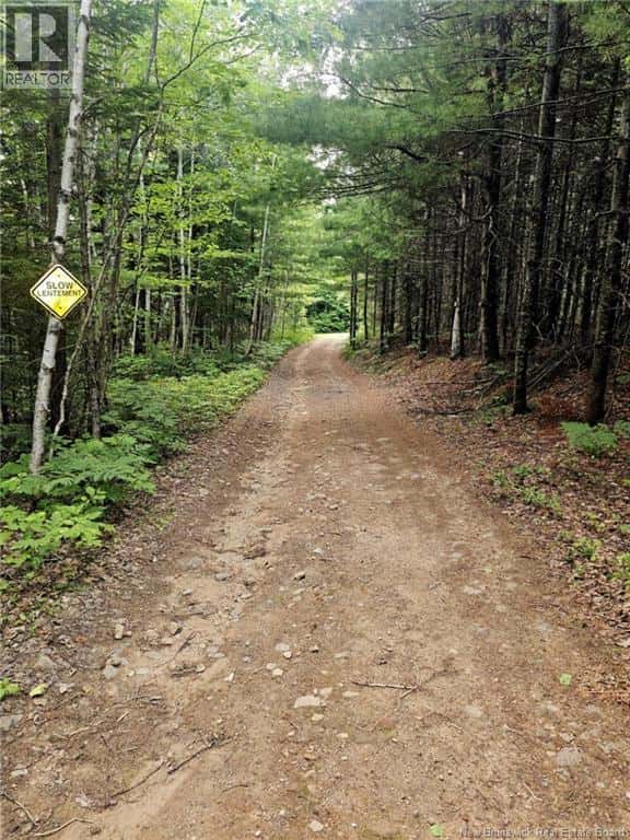 LOT 33, LOT 34 and CAMP Off the Green Road — Elgin, New Brunswick - Photo 3 of 21