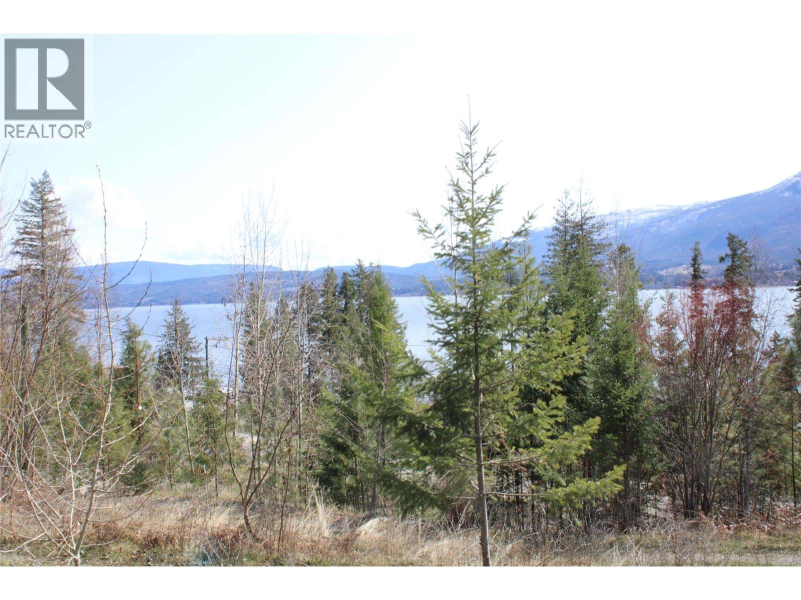 2959 View Road — Lee Creek, British Columbia - Photo 5 of 7