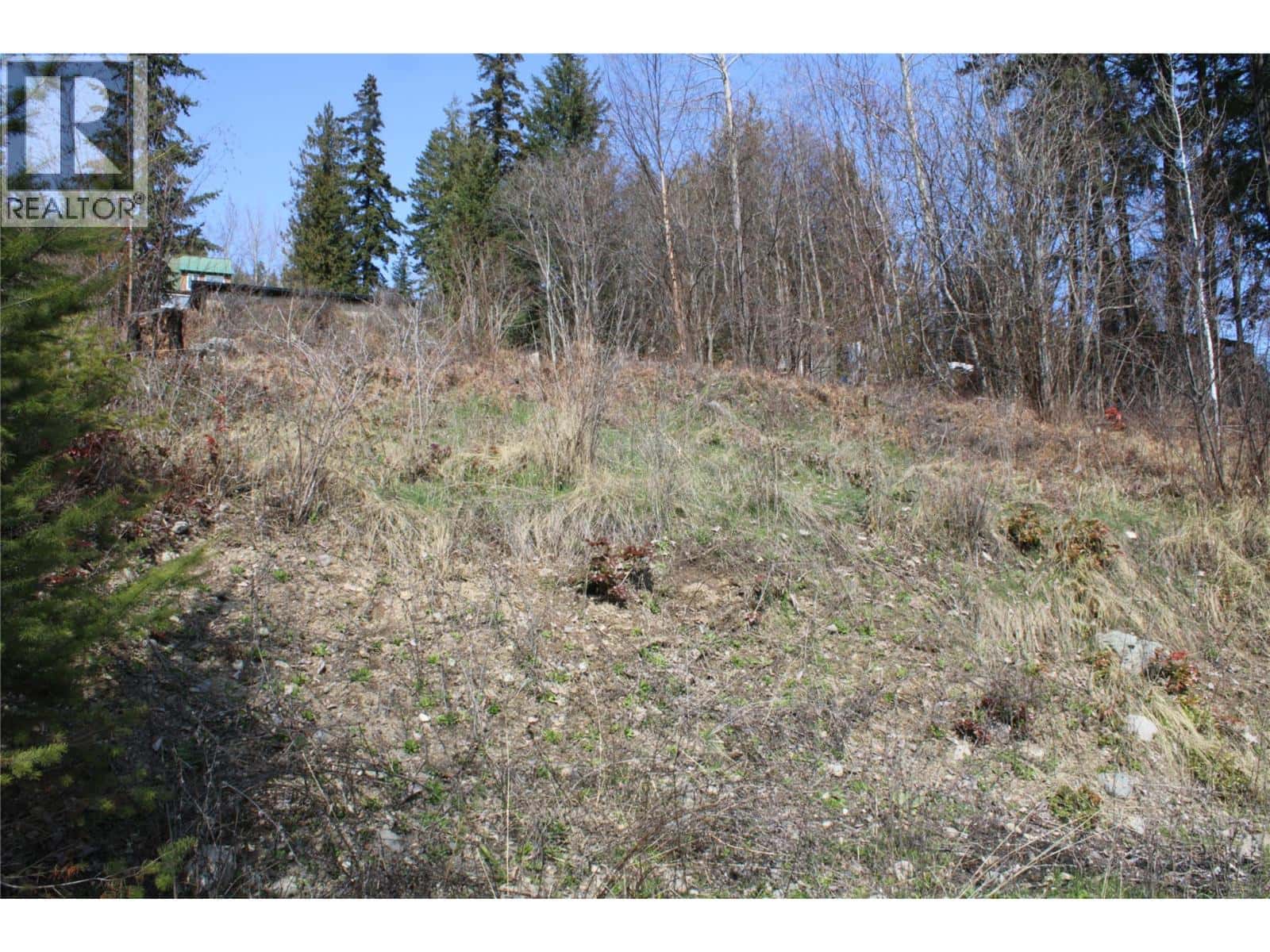 2959 View Road — Lee Creek, British Columbia - Photo 4 of 7