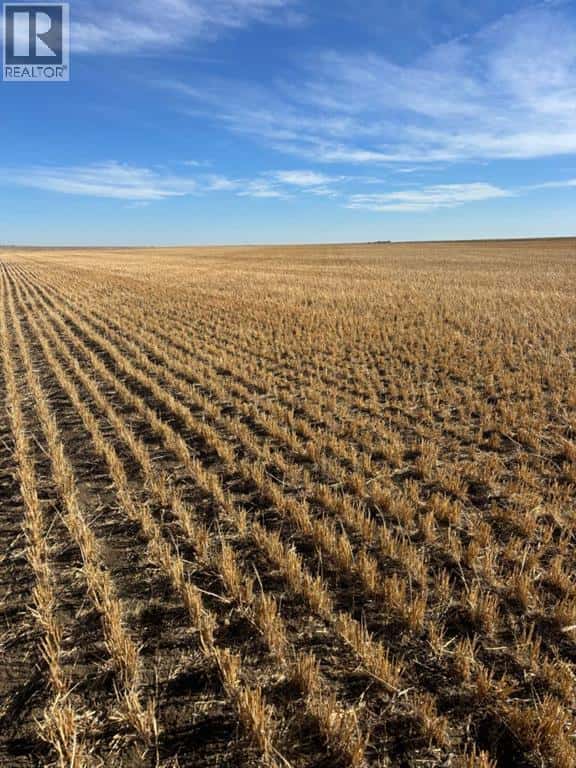 on RR 224 — Barons, Alberta - Photo 2 of 5