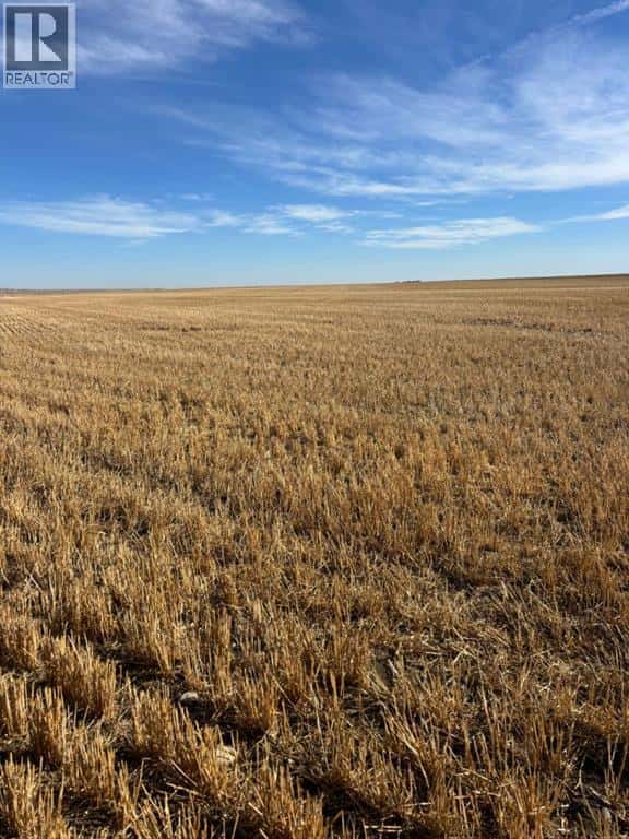 on RR 224 — Barons, Alberta - Photo 3 of 5