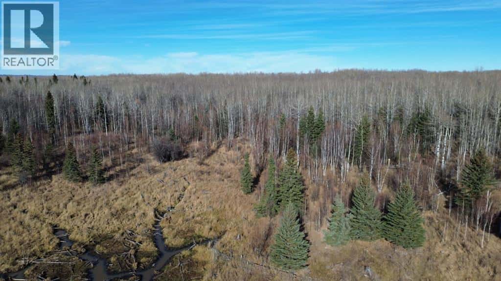 TWP 575 RANGE ROAD 102 — Rural Woodlands County, Alberta - Photo 3 of 28