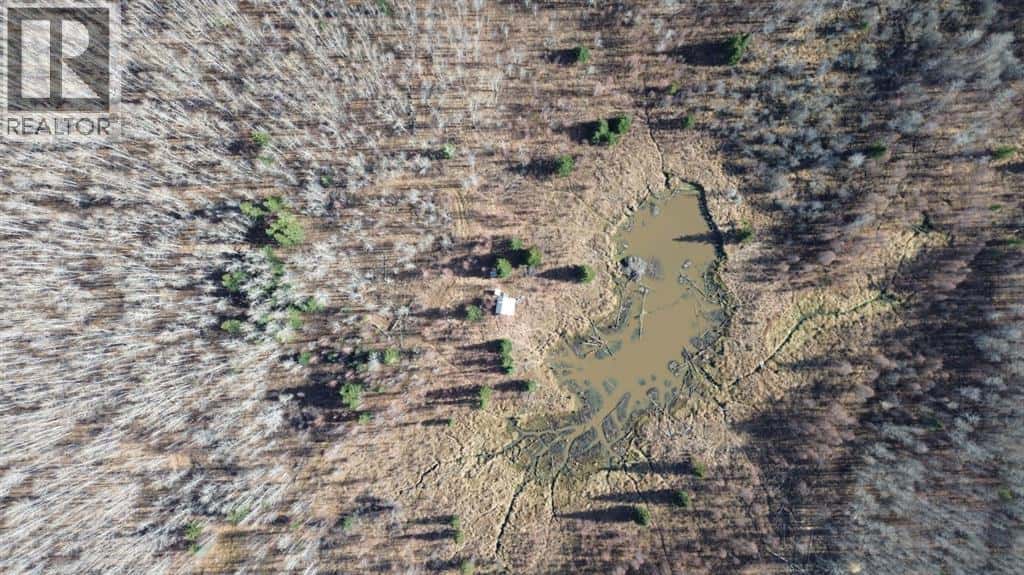 TWP 575 RANGE ROAD 102 — Rural Woodlands County, Alberta - Photo 4 of 28