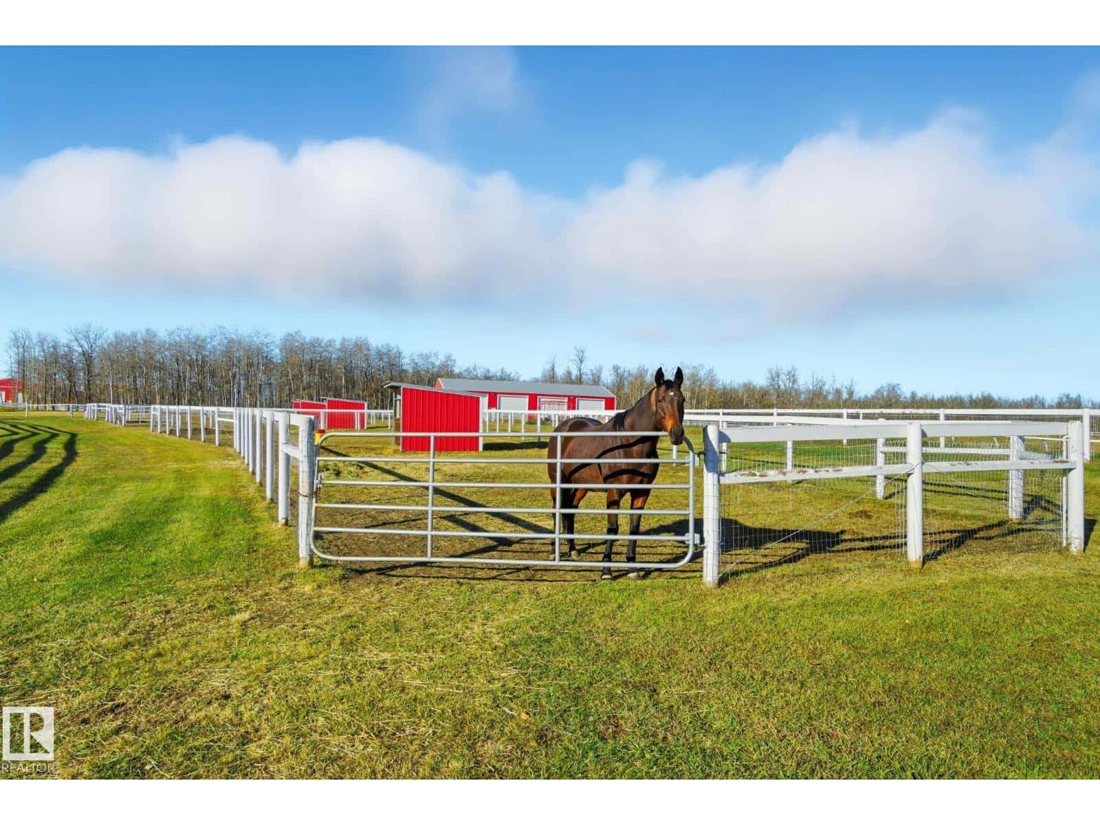 58117 RR 211 — Rural Thorhild County, Alberta - Photo 2 of 65