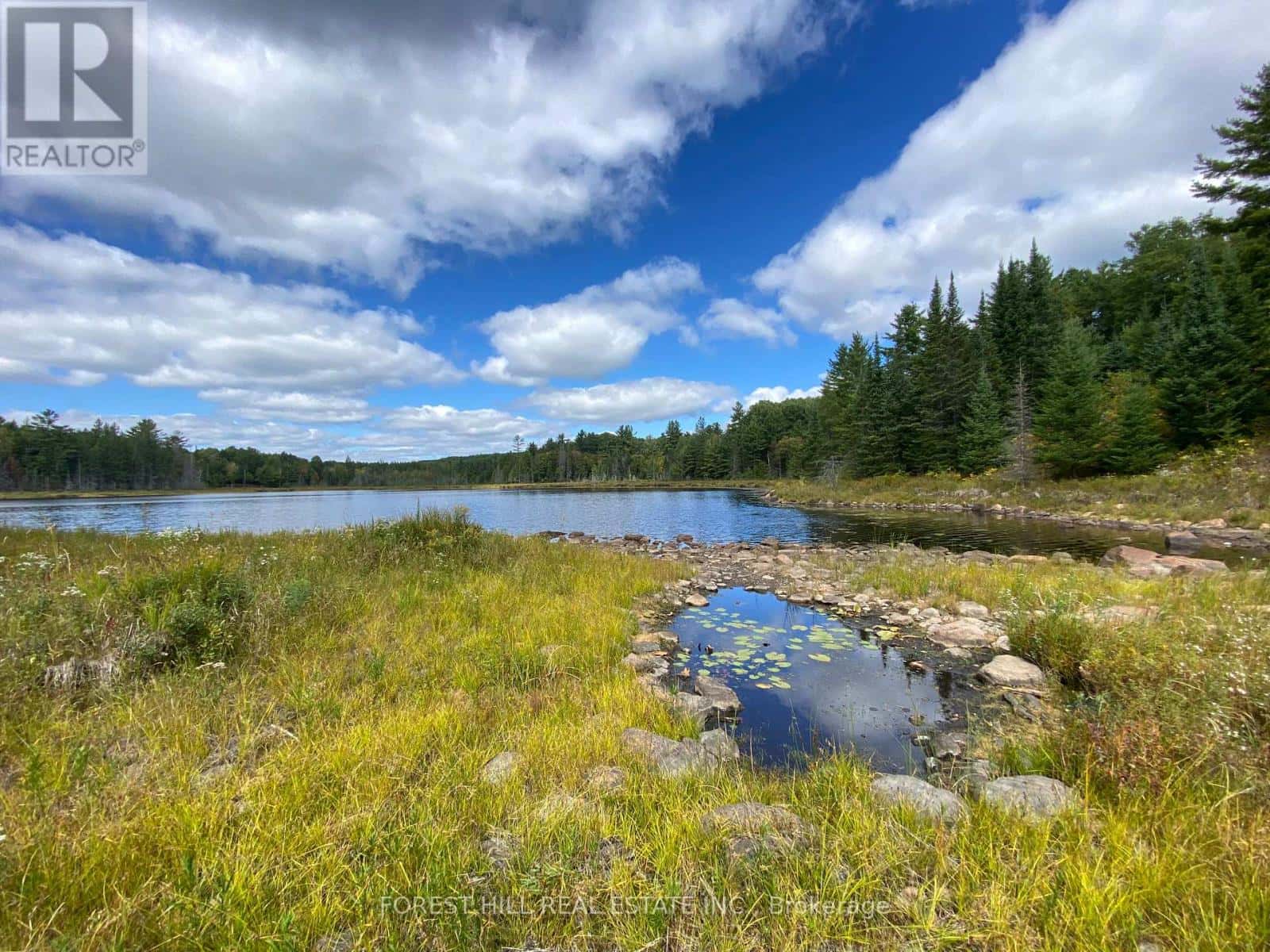 675 DORE BAY ROAD — North Algona Wilberforce, Ontario - Photo 4 of 40