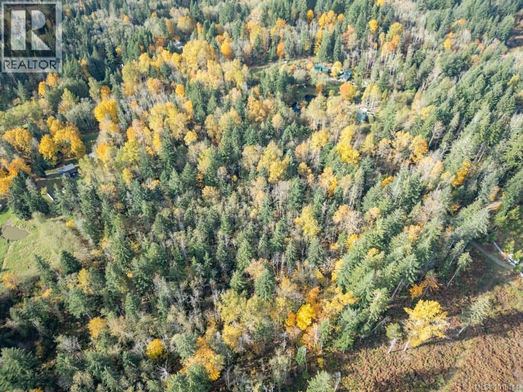 Lot 21 Railway Ave — Black Creek, British Columbia - Photo 4 of 30