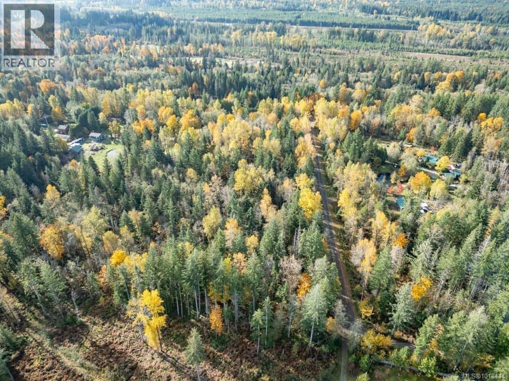 Lot 21 Railway Ave — Black Creek, British Columbia - Photo 2 of 30