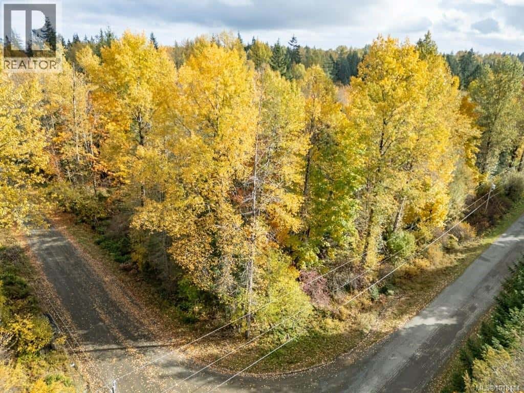 Lot 21 Railway Ave — Black Creek, British Columbia - Photo 5 of 30