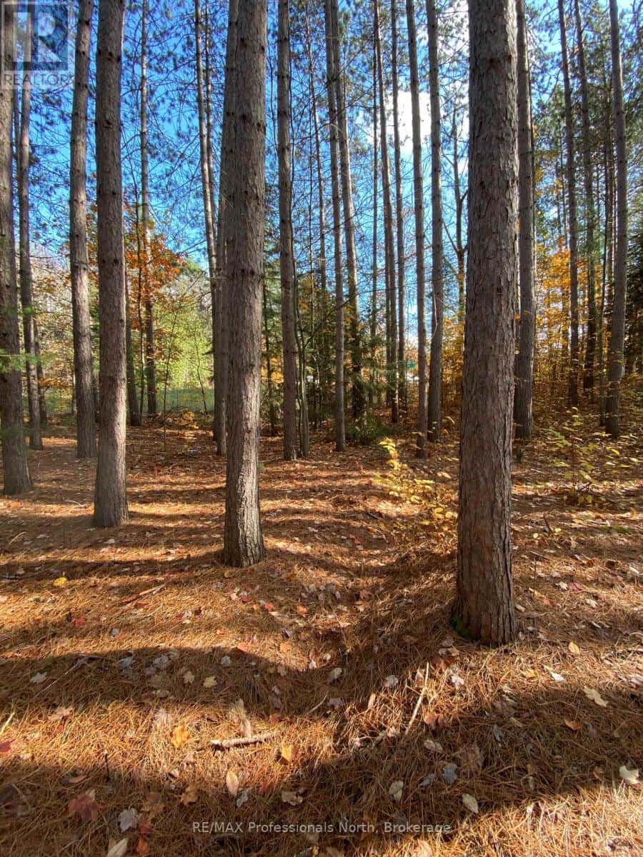 0 MAEBAR ROAD — Minden Hills (Minden), Ontario - Photo 5 of 8