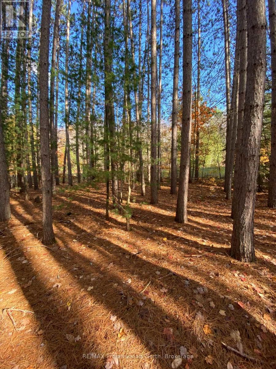 0 MAEBAR ROAD — Minden Hills (Minden), Ontario - Main photo