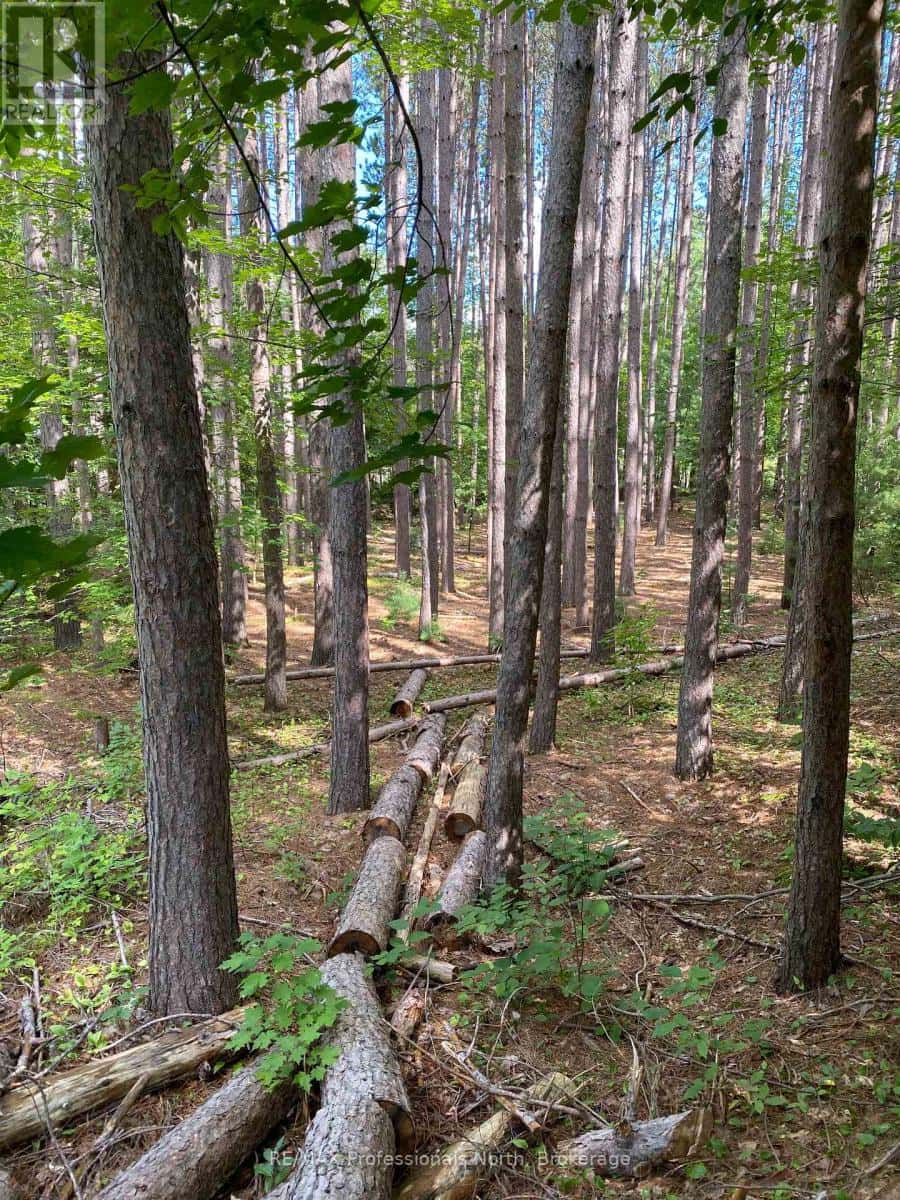 0 MAEBAR ROAD — Minden Hills (Minden), Ontario - Photo 2 of 8