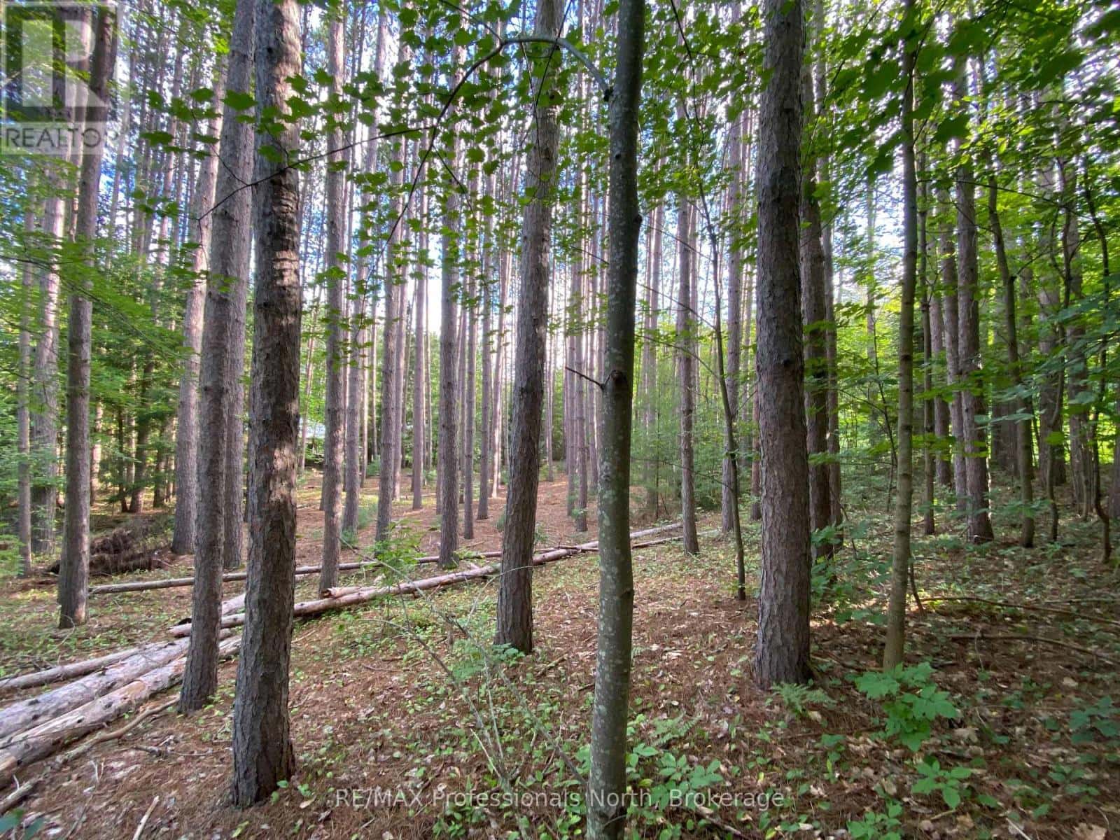 0 MAEBAR ROAD — Minden Hills (Minden), Ontario - Photo 3 of 8