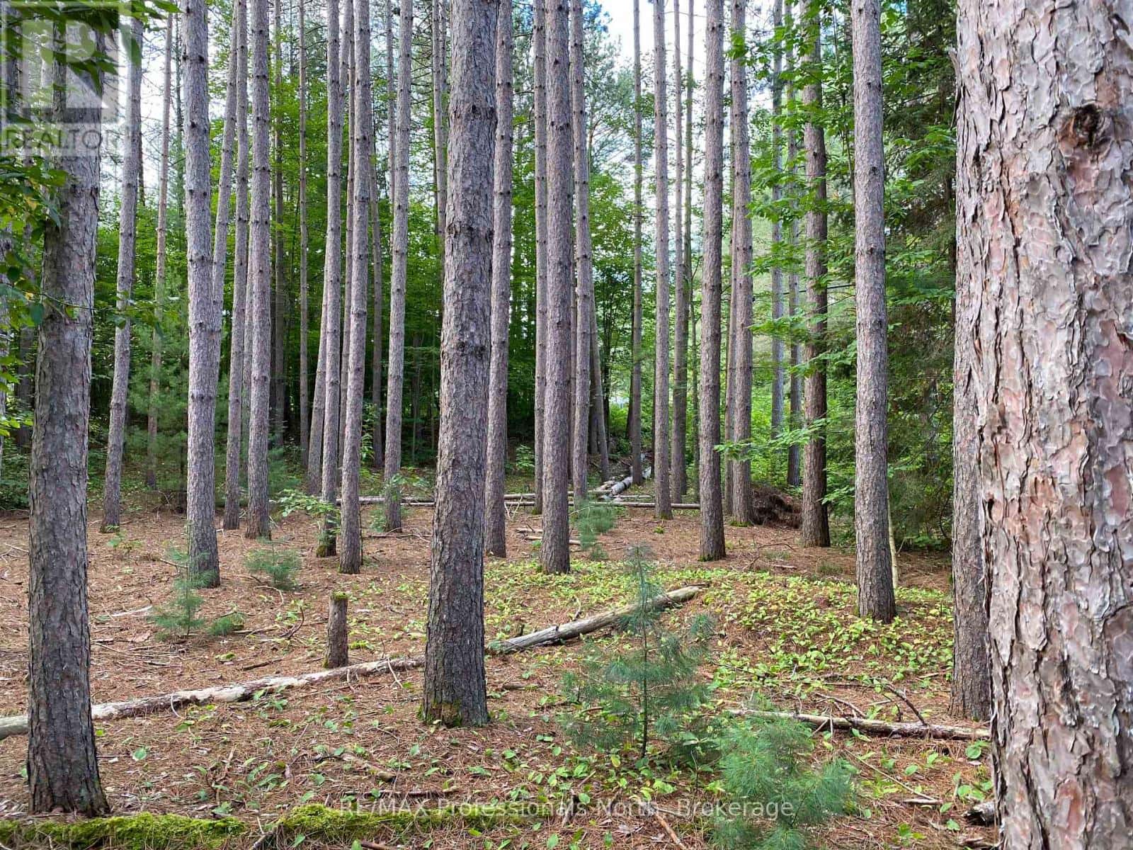 0 MAEBAR ROAD — Minden Hills (Minden), Ontario - Photo 4 of 8